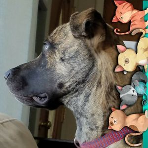 Meet your Posher, Debbie